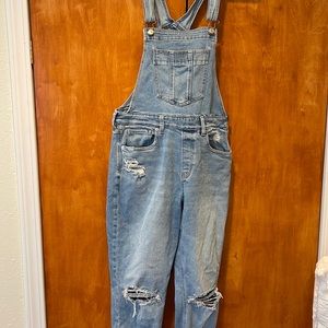 American Eagle Destroyed Mom Overall